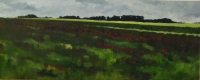 Cotswold Field
