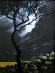 Dartmoor Hawthorn