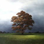 Noble Oak
